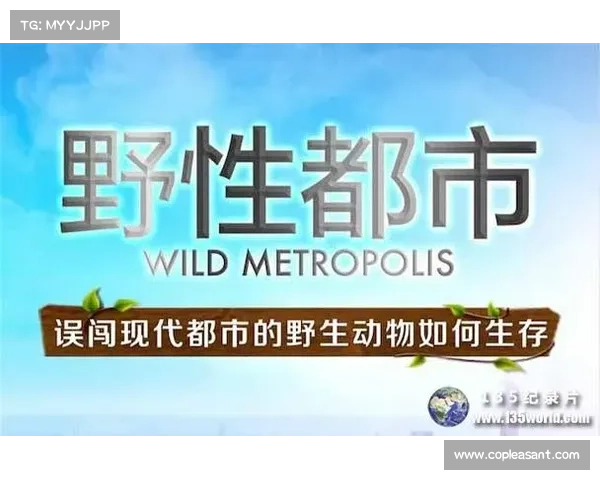 金鹰纪实频道聚焦全球自然奇观与人文探索纪录片精彩呈现 金鹰纪实频道聚焦全球自然奇观与人文探索纪录片精彩呈现
